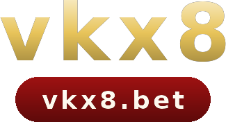 vkx8 logo